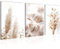 Novart Bilder Set Boho Pampasgras - Kein Extra Rahmen benötigt - Wandbilder für Wohnzimmer Schlafzimmer - 3 Teilig Deko Beige - N008936a