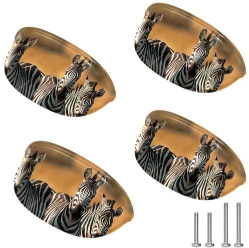 Eslifey Cabinet Cup Handles, 4 PCS Drawer Pulls Shell Shape Knobs for Dresser Cupboard Kitchen Furniture Decoration, Zebras Sunset Landscape