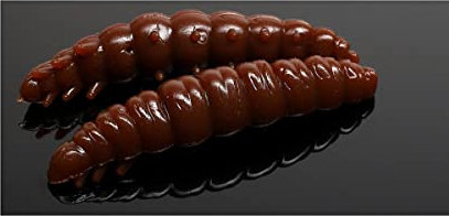 Libra Lures Larva 35 35mm 3,5cm Käse Braun 038 5908291084059 Bienenmade zum auftreibenden Angeln Forellenangeln
