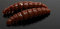 Libra Lures Larva 35 35mm 3,5cm Käse Braun 038 5908291084059 Bienenmade zum auftreibenden Angeln Forellenangeln