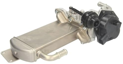 Delphi Technologies EG10576-12B1 AGR-Ventil