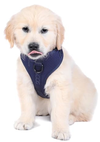 DOOG – Neoflex Hunde-Softgeschirr – Marineblau – Schnelltrocknend, wasserfreundlich und verstellbar für optimalen Sitz – Ideal für Strandspaziergänge und aktive Hunde im Freien – Extra Groß