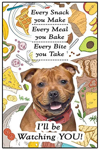 Fridge Magnets Staffordshire Bull Terrier Red Staffy Dog Gift - I'll be Watching You - Large Fun flexible size 16cms x 10 cms (approx. 6 x4)