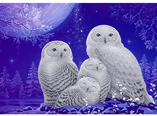 AIRDEA DIY Eulen Diamond Painting Set Erwachsene Kinder, Mond Diamant Painting Bilder 5D Schneeeule Diamant Kunst Winter Diamant Malerei Set Cross Stickerei Malerei Kits für Heimdekor 30x40 cm