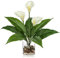 Briful Flores artificiales de lirio de cala blanco de 15.4 pulgadas en jarrón de cristal con guijarros, lirios artificiales de 39 cm de alto, flores artificiales decorativas para sala de estar