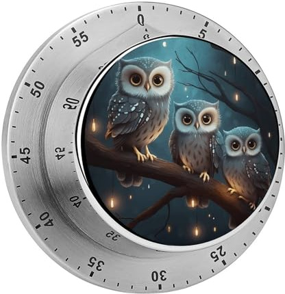 Mechanischer Küchentimer Eule auf Baum, 60 Minuten Aufzieh-Timer, manueller Countdown-Timer mit Magnetfuß, visueller mechanischer Timer für Klassenzimmer, Zuhause, Studium und Kochen