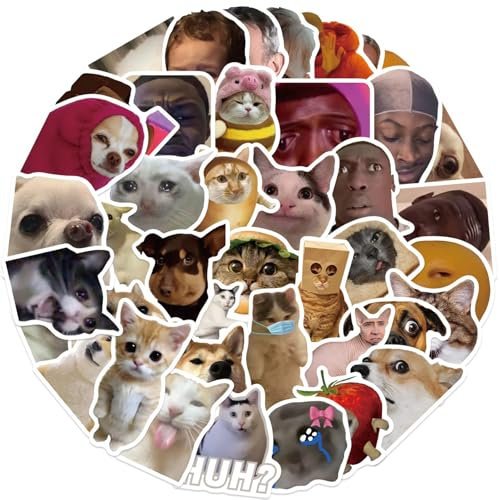 50 Stück Lustige Meme Sticker Set, Wasserfeste Aaufkleber, Meme Aufkleber für Auto Laptop Skateboard Fahrrad Moped Motorrad Fahrrad Computer,Geeignet für Erwachsene Kinder