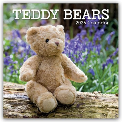 Teddy Bears – Teddybären 2026 – 16-Monatskalender: Original Gifted Stationery-Kalender [Mehrsprachig] [Kalender] (Wall-Kalender)
