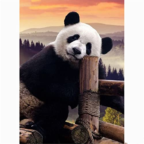 Tainrun Diamond Painting Kits, panda animal,5D DIY Adultes/Enfants Broderie Diamant Peinture Complet Cristal Strass Point de Croix Mosaïque Diamond Painting Arts pour la Décor Murale Maison 100x150cm