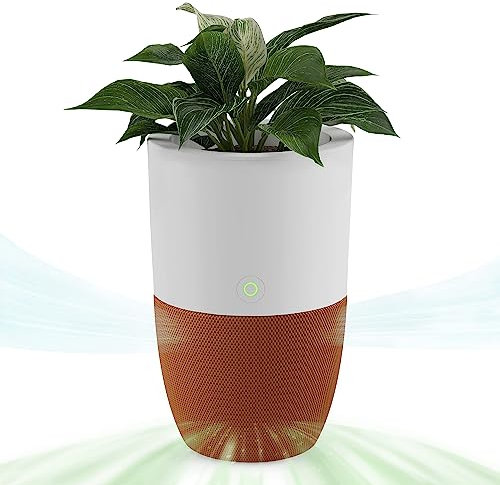 Dupray Bloom™ Luftreiniger für große Räume | Für Zuhause, Schlafzimmer, Büro, Staub, Haustiere | H13 HEPA-Luftfilterung zur Beseitigung von 99,97% aller Partikel | Bis zu 141 m2 Reichweite