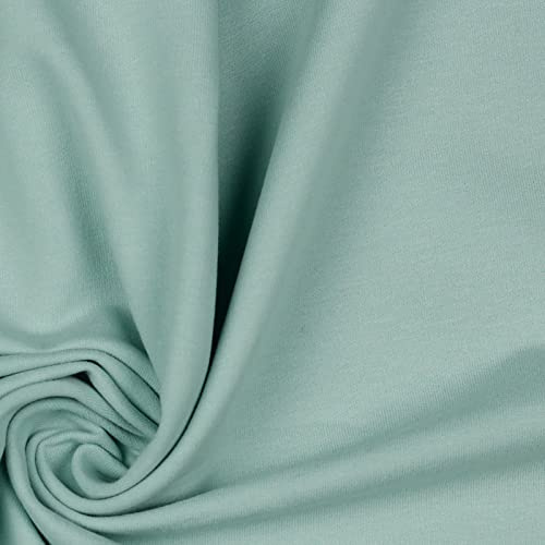 Softsweat Bio Organic ab 0,5m Sweatstoff Soft-Sweat Stoff Baumwolle Oeko-Tex 59 Farben, Farbe:065 - pastellblau