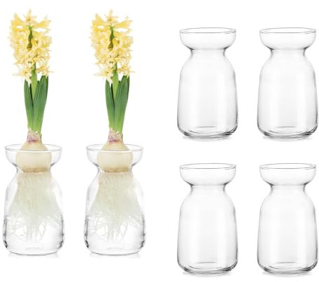 Glasseam Hyazinthe Bulb Growing Vase, Modern Small Flower Vase Set of 6, Cute Glass Vases for Centerpieces, Hydroponic Plant Vase for Tulips Rose Bulbs, Decorative Clear Vases for Decor Wedding Table