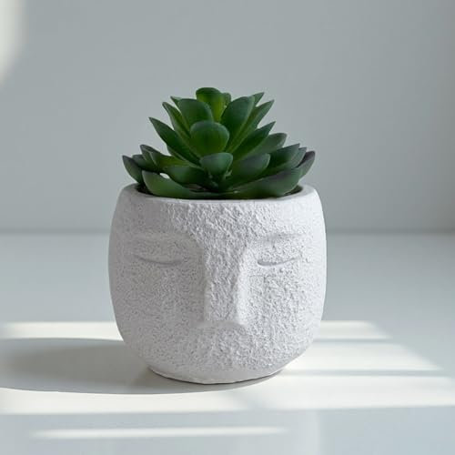 Mr.Bom Artificial Succulent Plants in White Cement Cute Face Pot Small Potted Fake Plant for Indoor Outdoor Decor