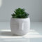 Mr.Bom Artificial Succulent Plants in White Cement Cute Face Pot Small Potted Fake Plant for Indoor Outdoor Decor