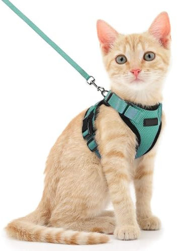 Voarge Pettorina per Gatti Regolabile Con Guinzaglio da 150 cm - Sicurezza per Cuccioli e Adulti di Piccole e Medie Dimensioni