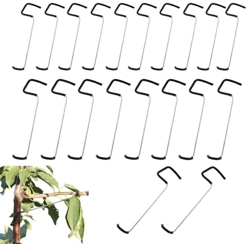 Pack of 20 Branch Separators for Fruit Trees 7 Branch Bender for Fruit Trees 18T