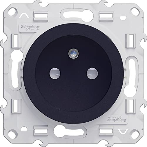 Schneider Electric - Odace, Prise de Courant 2P+T Anth., à vis, Connexion Rapide, spéciale rénovation - S540049