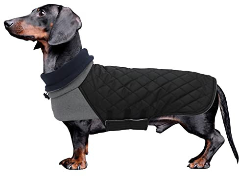 Geyecete Dackel Hundemantel, Warmer Quilten Mantel Mit Geschirr Loch, Winddicht Rollkragen Hundejacke, Miniatur Weste für Kleine Hunde - Schwarz - L