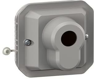 LEGRAND, Plexo New Einsatz, RONIS Schlüsselschalter, 3 Positionen, Schraubklemmen, IP 55 - IK 08, Farbe: Grau, 069535L