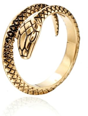 fycouyee Stainless steel rings men's retro snake index finger rings