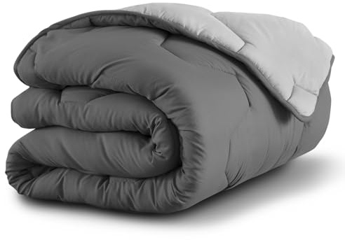 IDMarket - Couette 200x200 cm Abby Bicolore Gris Clair et Gris 300 GR