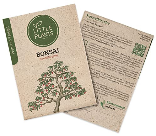 Bonsai Samen Kornelkirsche, 10 Bonsaisamen, hohe Keimrate von Little Plants, Wunderschöner Bonsai zur eigenen Anzucht, Nachhaltig Verpackt