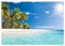 Papel Pintado Paisaje Playa Palmeras Tropical Salón Dormitorio - Incluye Pegamento - Fotomurales Pared Tejido No Tejido Decorativos Murales Fotográfico Moderno Decoración de Paredes (368x254 cm)