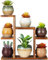 OcBuct Small Desk Plant Stand 7 Tiers Window Sill Plant Shelf Tabletop Succulent Stand Wood Desktop Flower Pot Stand Holder Plant Rack for Windowsill Desktop Window Ledge Countertop Narrow Space