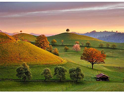 dino Puzzle Amazing Sunrise, 3000