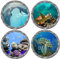 Bustlwor 4 Stück 3D Wandtattoo Unterwasserwelt, Wandsticker Badezimmer Bilder, Wandtattoo 3D Bullauge, für Kinderzimmer Schlafzimmer Wohnzimmer Bad Wanddeko