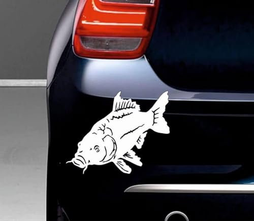 Rakelfix Karpfen Fisch Aufkleber Angler Angelboot Sticker Boot Boote Beschriftung Bug Heck Fische Angeln