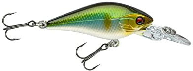 Daiwa Prorex Baby CB 40 MR setsuki ayu Wobbler