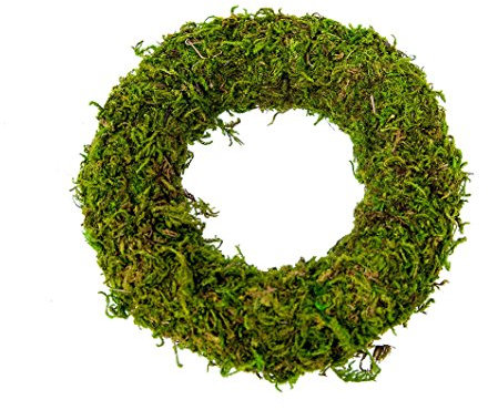 Kranz Moos 10cm (8 Stück), Naturprodukt, Natur, 12 x 12 x 2,5 cm