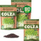 ZenGreens® - Semillas de colza ecológico - Elija entre 10g, 200g y 500g - brotes de colza - germinación de más del 97% - Microgreens