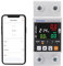 TUYA WiFi Smart Energy Meter AC 63A 85-300V WiFi Smart Earth Leckage Über Unter Spannungsschutz Strom Energie Monitor APP Fernbedienung Smart Life 230V 110V Kompatibel mit Alexa Google Home