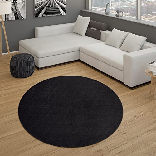 Paco Home Teppich Wohnzimmer Kurzflor Schlafzimmer Modernes Einfarbiges Muster Schwarz Anthrazit, Grösse:240x340 cm