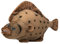 lilizzhoumax Flunder Fisch plüschtier 40cm/16Zoll Simuliertes Tier Kawaii Realistische Plüschfigur Plüsch Spielzeug Geschenk für Kinder Mädchen und Jungen