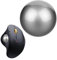 Trackball 2024, 34 mm Trackball, Ersatzkugel für Logitech M575, M570, MX Ergo, ELECOM, Kensington, Perixx und andere kompatible Trackball-Mäuse, glänzend – Grau