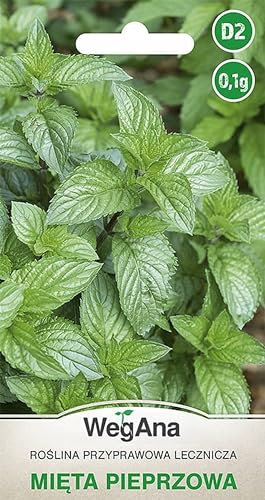 WegAna Semi di menta piperita 0,1g Semi di ortaggi robusti Semi per la coltivazione Erbe da cucina Erbe da balcone e da giardino