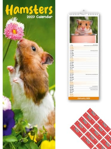 Calendrier Hamsters Slim 2026 | Calendrier mural allongé de 12 mois | Calendrier animalier Hamster | Avec autocollants d’organisation offerts