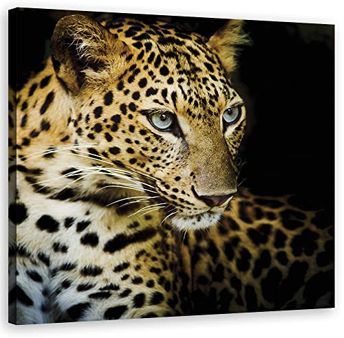 Feeby Vlies Leinwandbild XXL Wildkatze Jaguar Raubtier 80x80 cm Wandbild Kunst Bilder Schlafzimmer Deko Wohnzimmer Exotik Natur Tier Orange