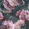 Muriva Lipsy Issey Wallpaper - Modern Floral Living Room, Bedroom, Fireplace Decorative Luxury Nature Wall Paper with Blossoms of Peonies & Chrysanthemums (Pink, Green Grey), Green,grey,pink