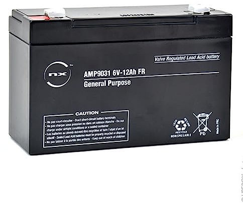 NX, 6V Battery, 6 Volt 12ah battery, 6V 12Ah Lead Acid Rechargeable Battery For General purpose, Scooter, Quad Bikes, Childrens Kids Toy Car Battery, Alarm, Bike, Emergency power (6V - 12Ah)