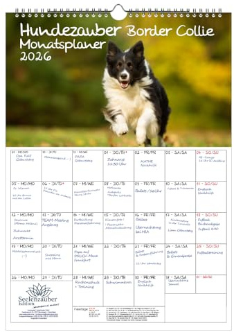 Hundezauber Border Collie Planer DIN A3 Kalender für 2026 Welpen und Hunde - Geschenkset Inhalt: 1x Kalender, 1x Weihnachtsanhänger (insgesamt 2 Teile)