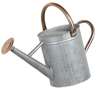 Gralara Regadera de Metal para Plantas de Exterior e Interior. Gran Abertura de llenado. Gran Capacidad. Construcción Robusta. Rociador Fino, 4l