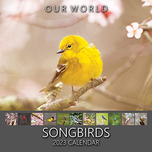 Our World Songbirds 2023 Wandkalender Vogel, US-Singvögel-Kalender