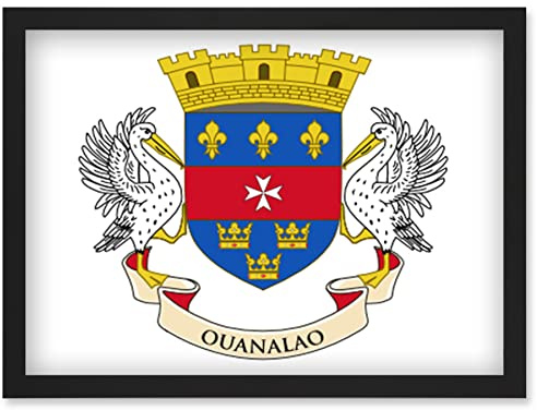 Artery8 Saint Barthélemy National Flag Patriotic Vexillology World Flags Country Region Poster Artwork Framed Wall Art Print A4