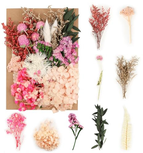 Tomoyuki Getrocknete Blumen zum Basteln, Trockenblumen, natürliche gepresste Blumen für DIY-Harz, Kerzen, Scrapbooking, Basteln, Taschen
