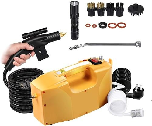 3000W Professional Steam Cleaner Handheld Steam Generator High Pressure Cleaning Machine for Household Kitchen