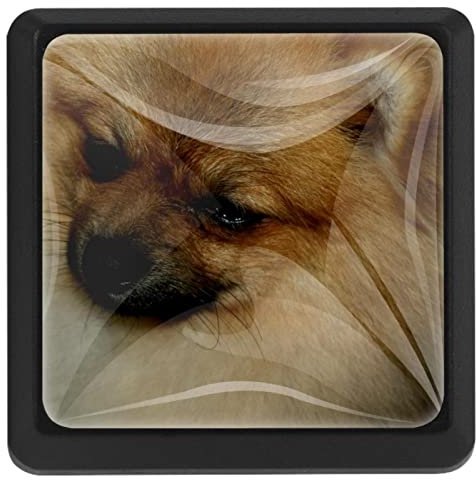 BUJOJUB Hund, 3 Stück Schubladenknöpfe, Schubladengriffe, Schrankknöpfe, Möbelknöpfe, Kommodenknöpfe für Küche Schrank